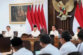Pemerintahan