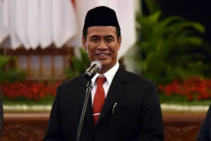 sawah